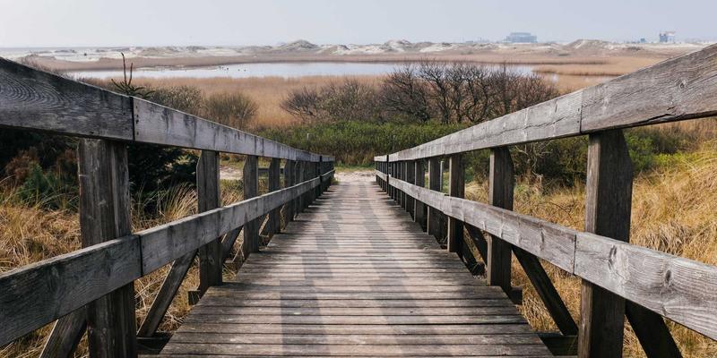 决胜未来科技：企业IPv6迁移的实战策略与资源全解析