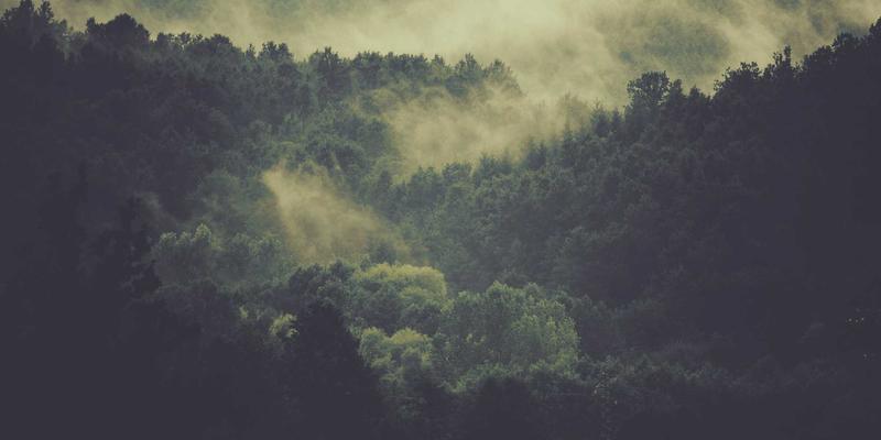 突破性能瓶颈:揭秘DPDK与XDP如何重塑下一代网络编程